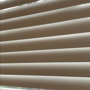 Meet your Posher, Shaneka